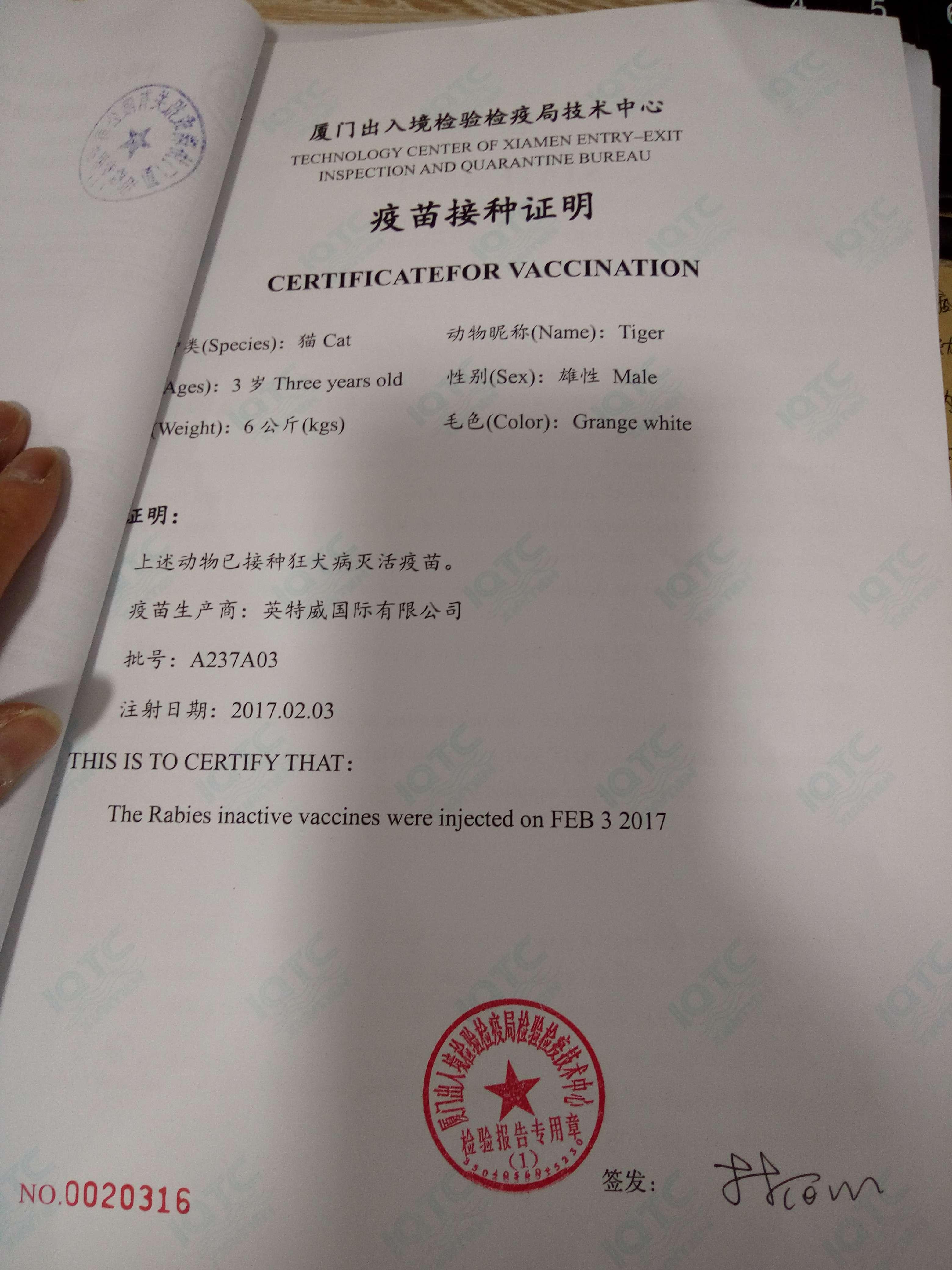 疫苗接种证明代理报检委托书责任声明(另外一份与检验检疫局无连带
