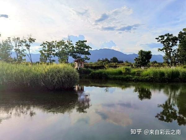 澄江游记—澄江更美,抚仙湖更清! - 知乎