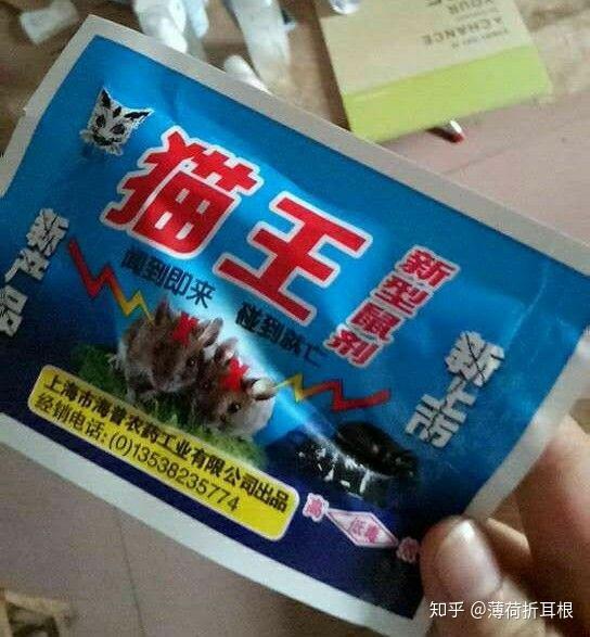 家裡有很多老鼠怎麼辦?