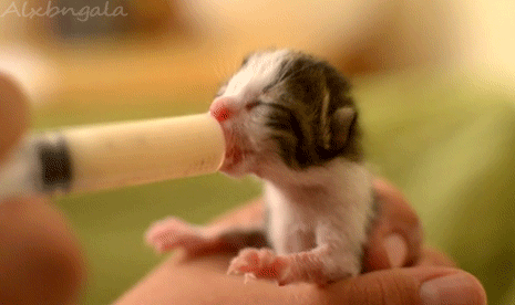 465_276gif 动态图 动图