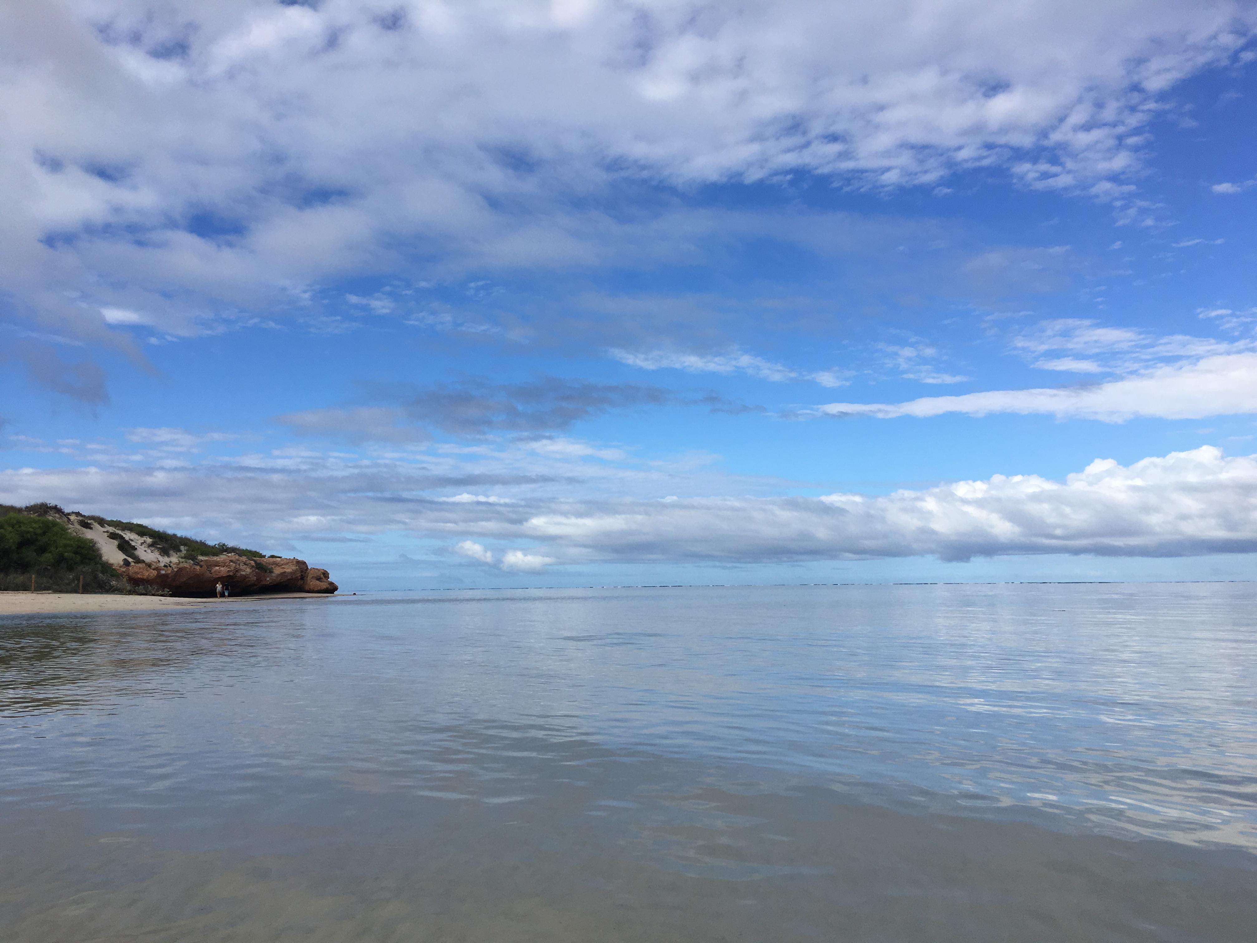 澳大利亚打工度假签证申请条件是什么,是否值