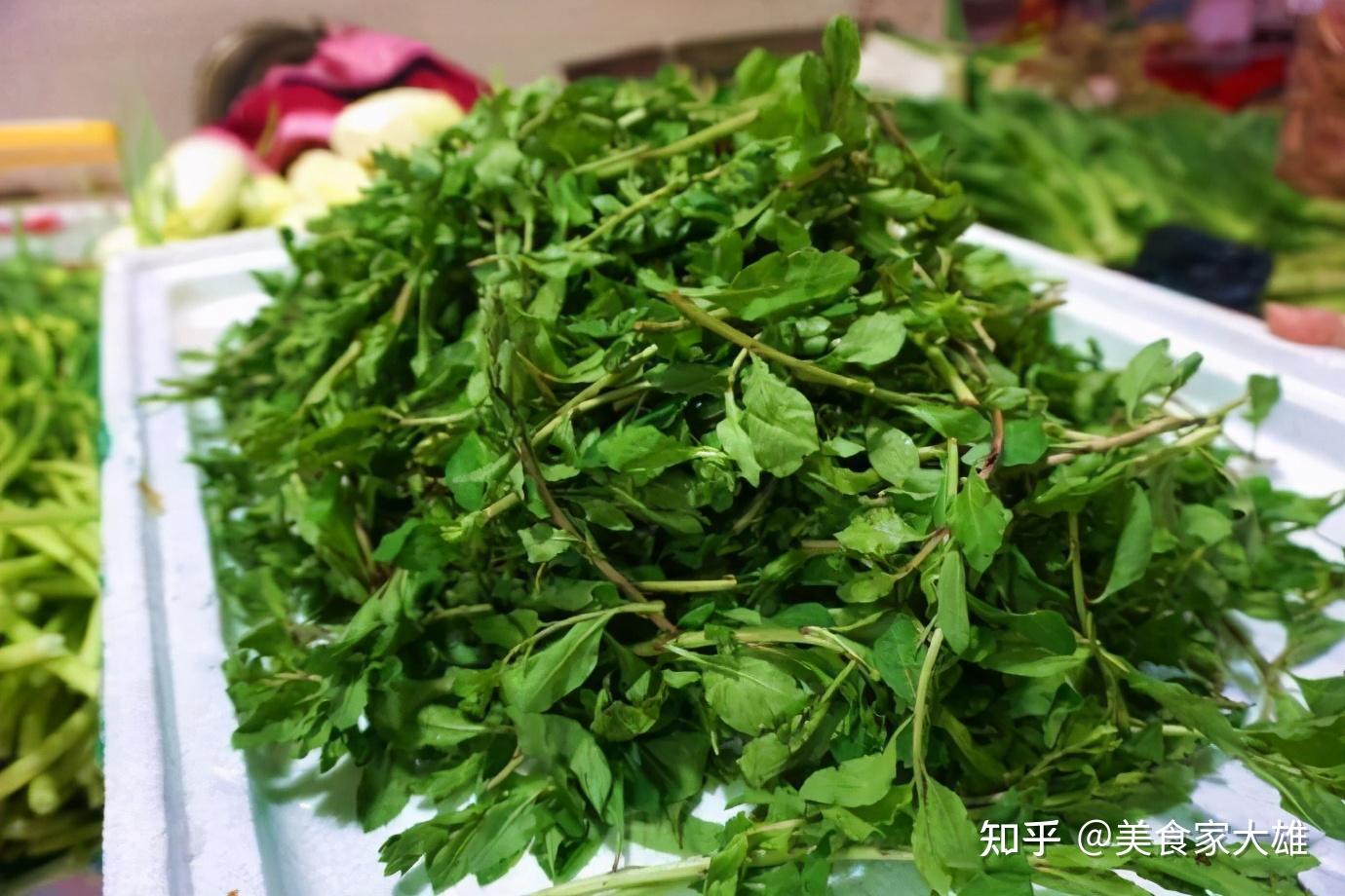 枸杞叶子,你们地方上吃吗?怎么吃? - 知乎