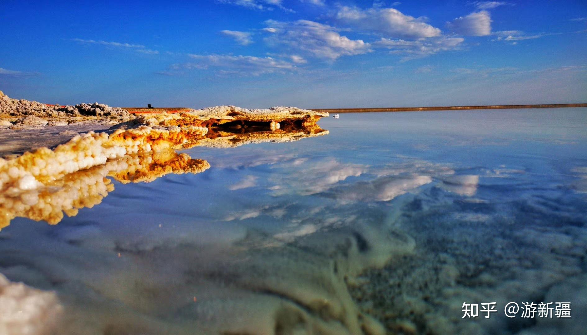 新疆若羌罗布泊盐花竞相绽放