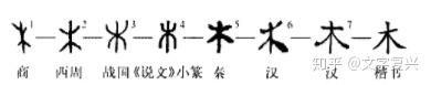 解字“木” - 知乎