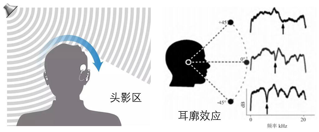 01人耳如何辨別聲音方位