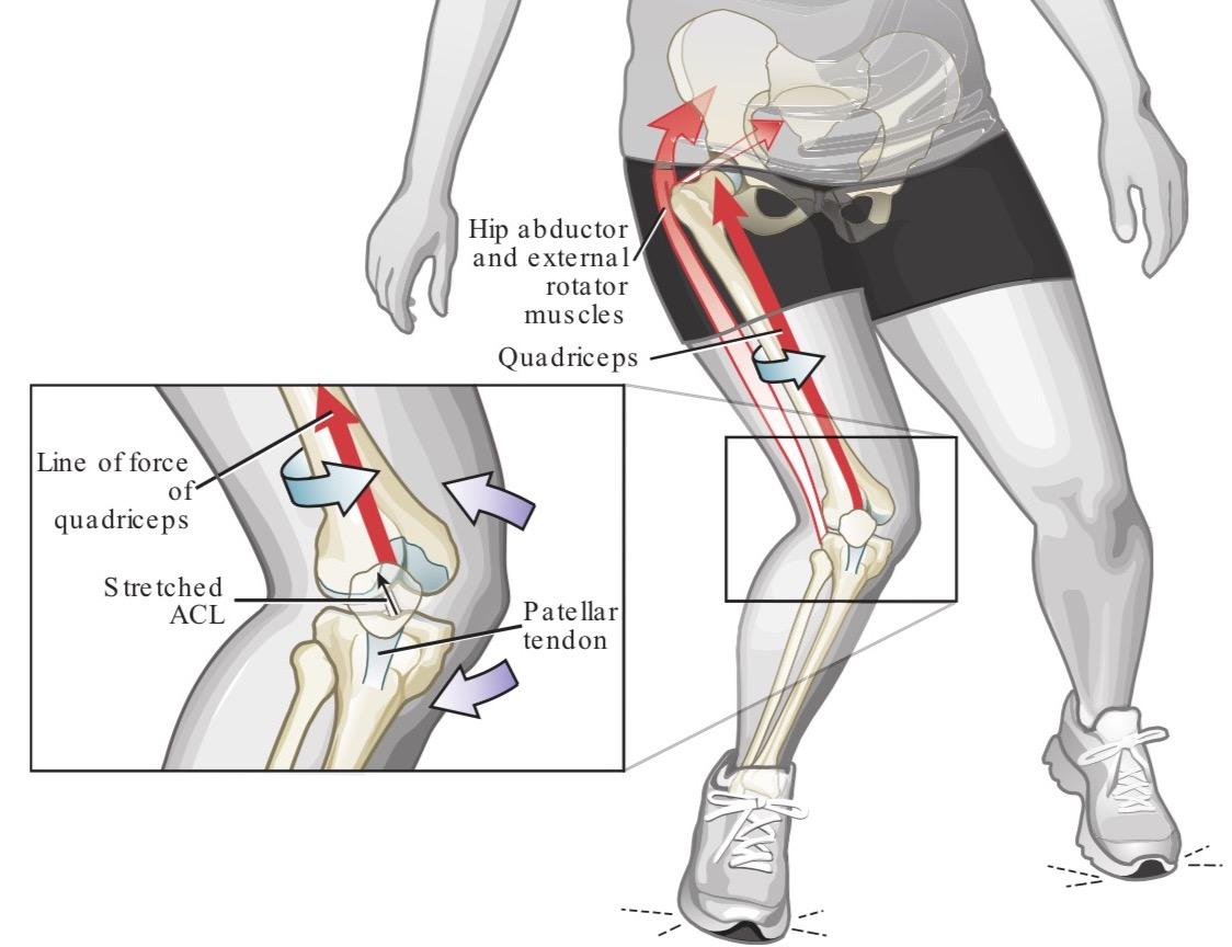 2张图，8个动作，让你读懂怎么保护膝关节
