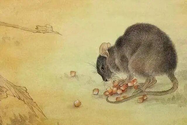 十二生肖各有一缺：原来老天爷早就告诉我们，没有谁是完美的 - 知乎