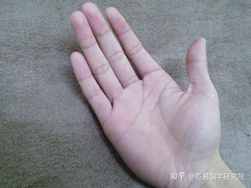 无名指长的人有艺术天赋？手指长短能看出什么？ - 知乎
