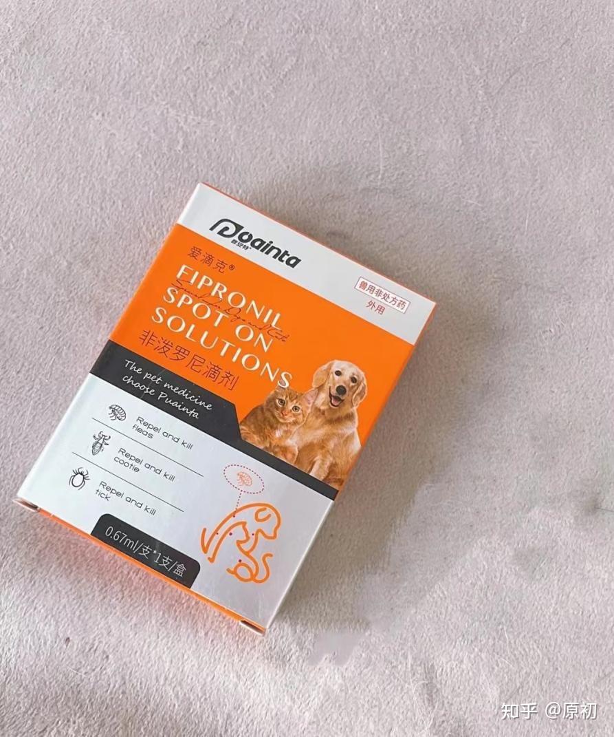 猫咪没出过门,猫咪体外驱虫多久一次比较好?