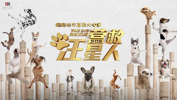 《营救汪星人》回眸一叫百萌生,万千宠爱在汪星 - 知乎