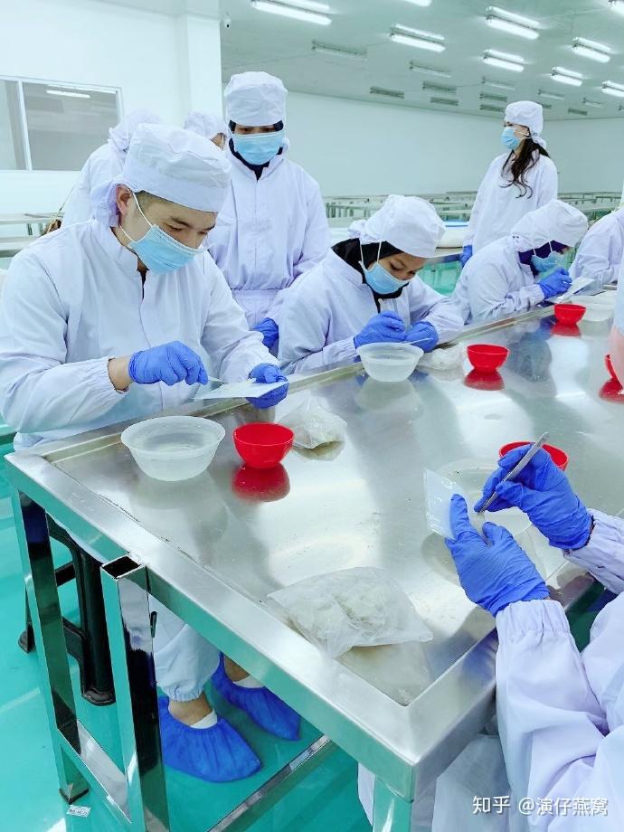 印尼燕窝正规工厂是什么样子的只做天然燕窝工厂有什么不一样风景