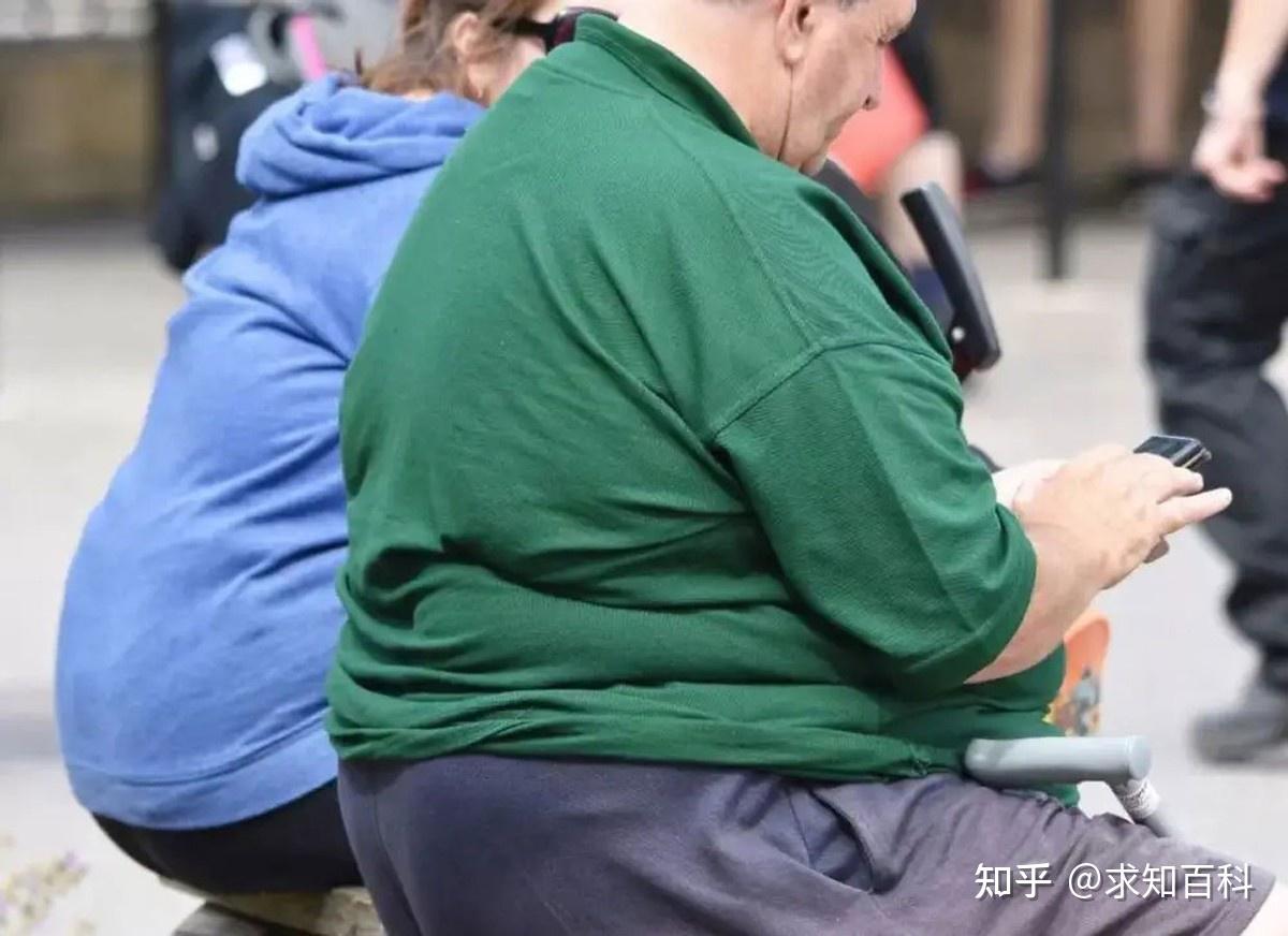 最胖的发达国家，预计3/4人口是胖子，中国游客：街上胖子真多-搜狐大视野-搜狐新闻