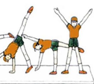 如何成为一名体操选手-侧手翻篇