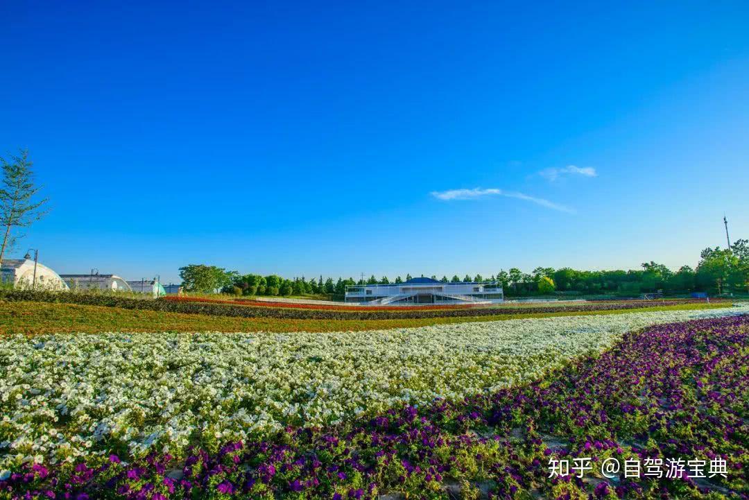 斯薰衣草庄园一年中最灿烂的风景都集中在了夏季,鲜花遍地,芳草茵茵