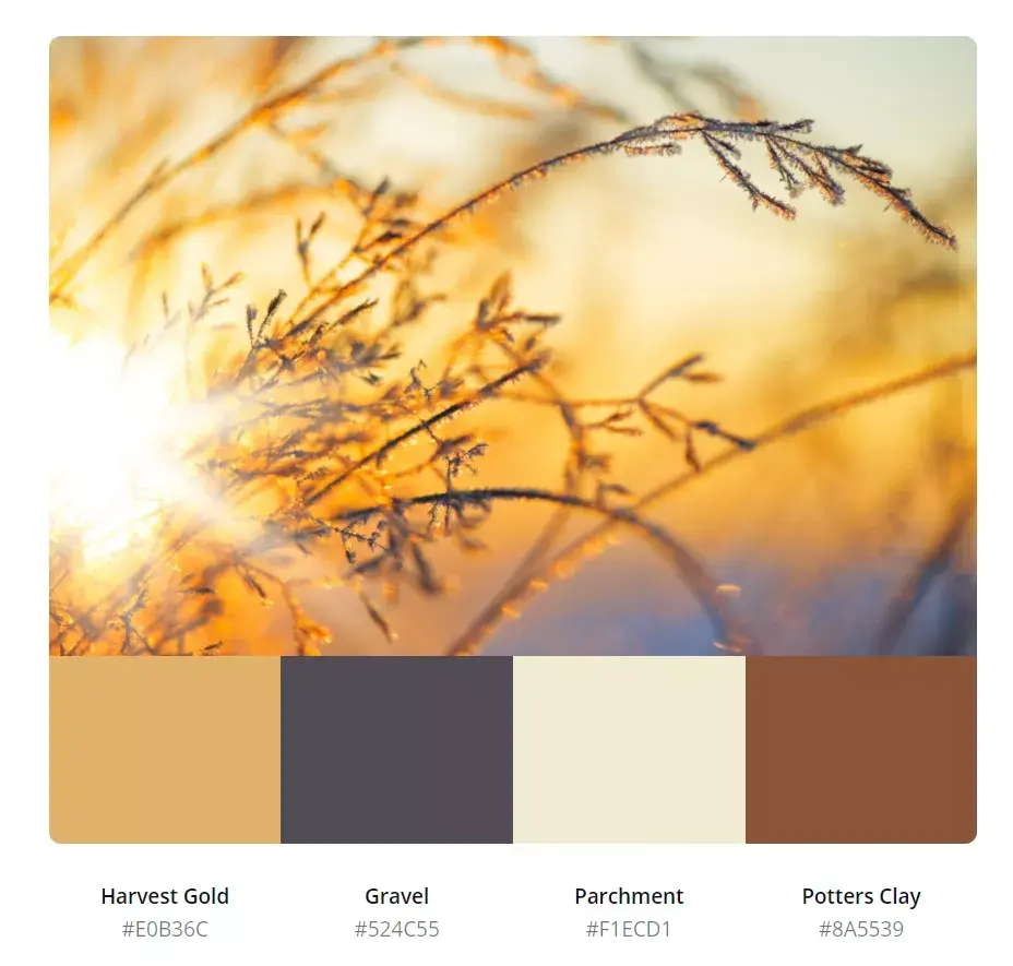 有哪些好看的冬天配色?领取50张绝美色卡