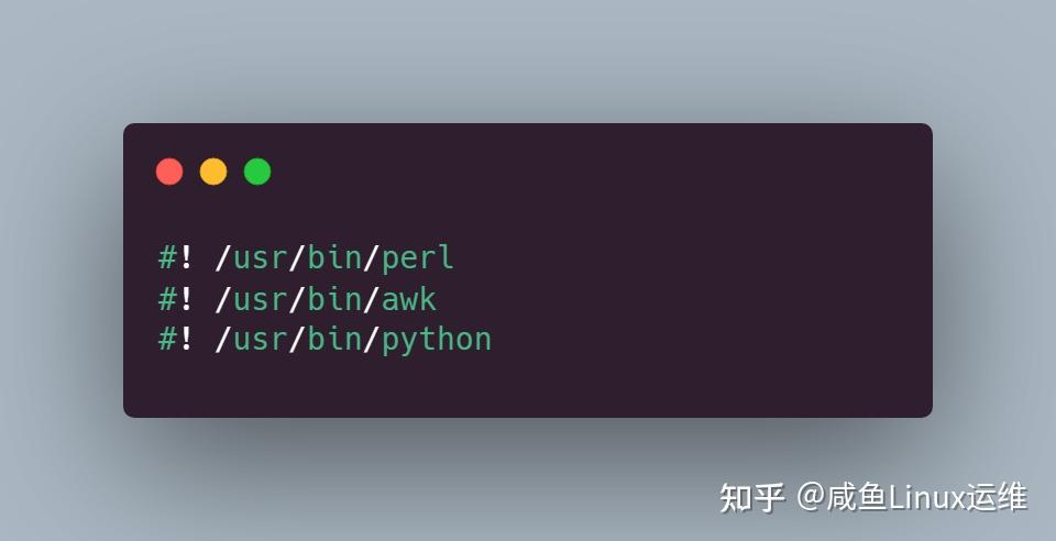 关于 Bash 脚本中 Shebang 的趣事 - 知乎