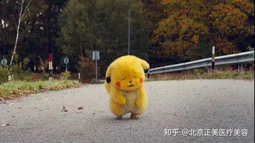 皮卡丘是什么小动物 v2-9579422146133ae35ee9a05d95218be1_r.jpg