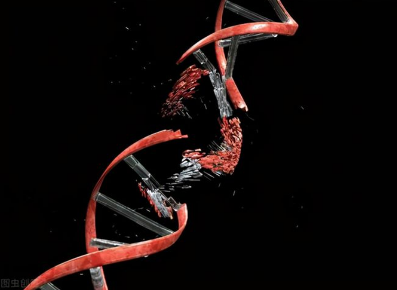 甲醛是如何致癌的已证实甲醛破坏dna损伤修复机制诱发癌症