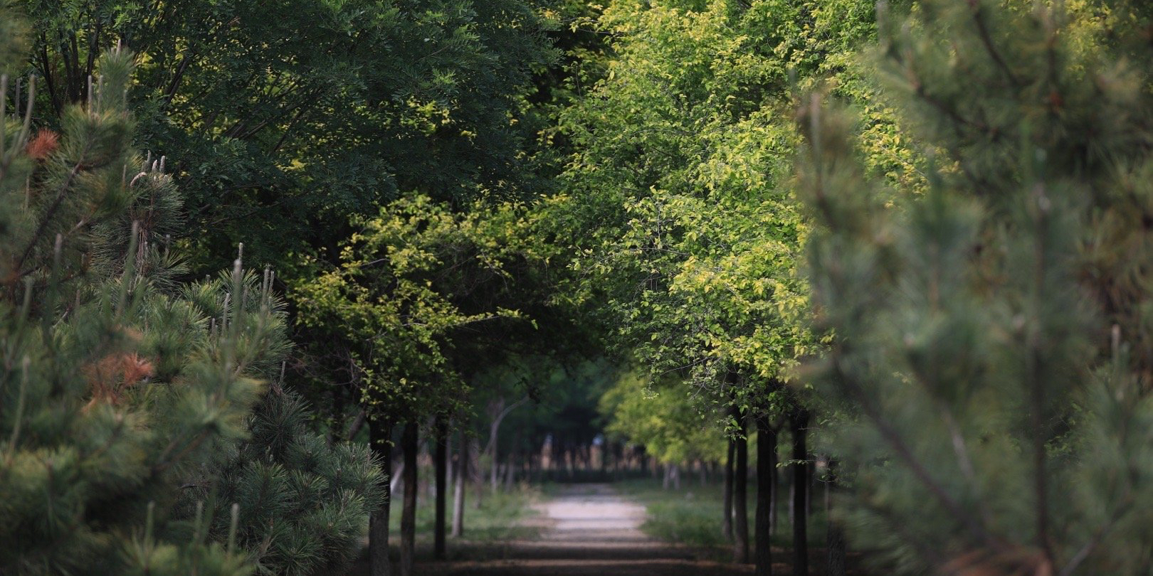 明天更漫长 知乎