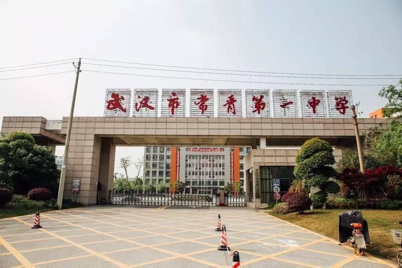 2001年2月,经市教委,市编委批准,武汉市常青第一中学成立.