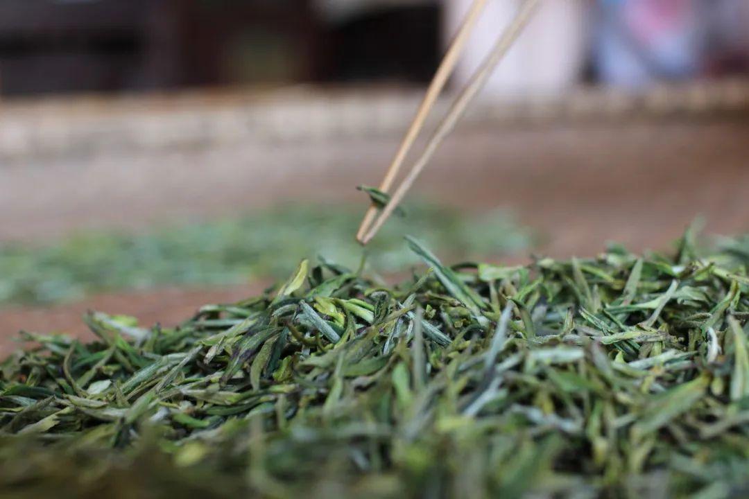 黄茶 | 黄小茶 霍山黄芽 -- 唐时以兵三千兵保护的茶 - 知乎