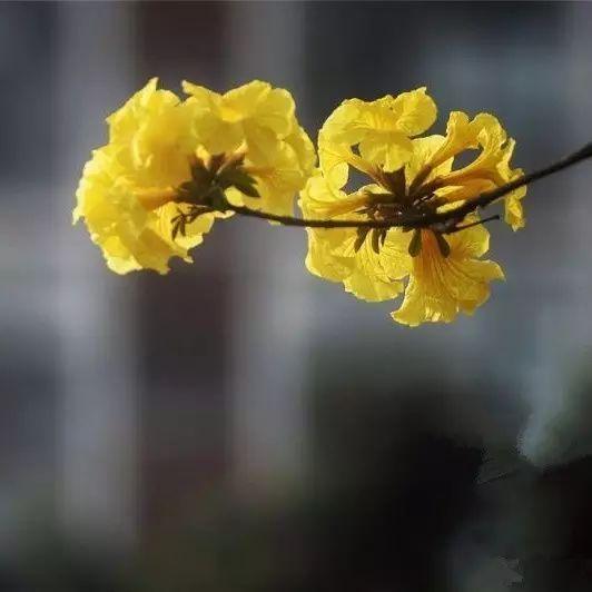 v2-95bb7d10f4c01fe9f0c493f05bb22eb1_1440w.jpg?source=172ae18b