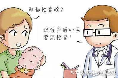 产后42天怎么检查 v2-95bfc965f48c6fcf0a005850fb6b0789_b.jpg