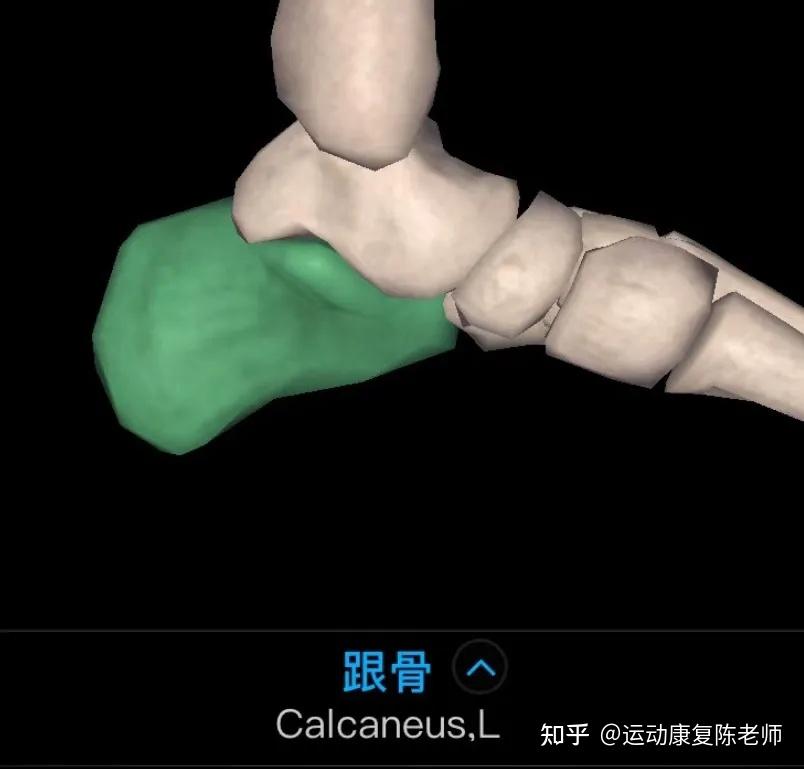 銳博康復一次崴腳誤終身搞定腳踝舊傷