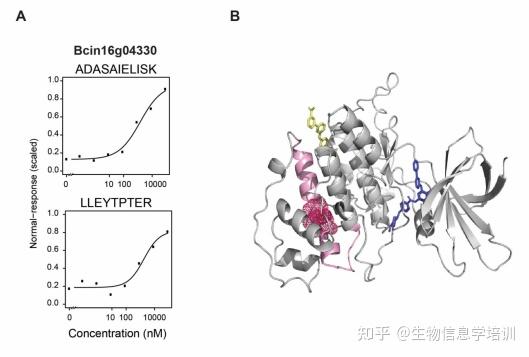 掌握一种机器学习方法：LiP-Quant，轻松识别药物靶点和结合位点 - 知乎