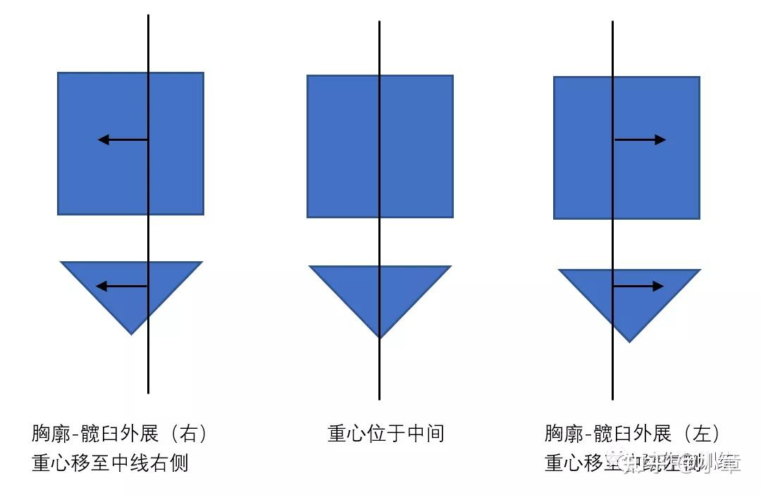 胸廓冠状面动作