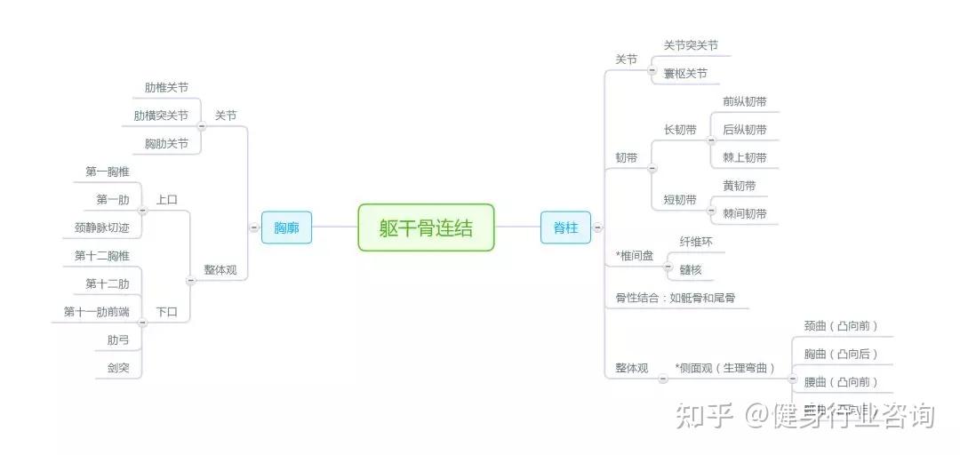 史上最强解剖学思维导图——运动系统,值得转发,收藏