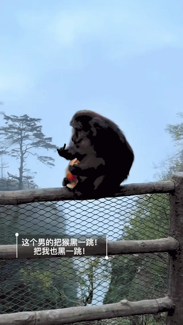 男子在峨眉山悬崖边推搡猴子险致其坠崖，景区将其列入黑名单，这类伤害景区动物的行为可能承担哪些法律责任？