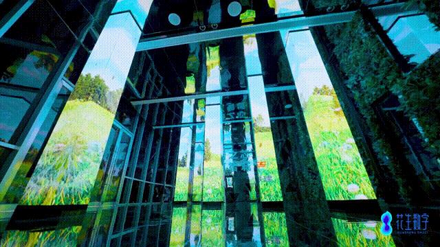 打造沉浸式直播社交新平台