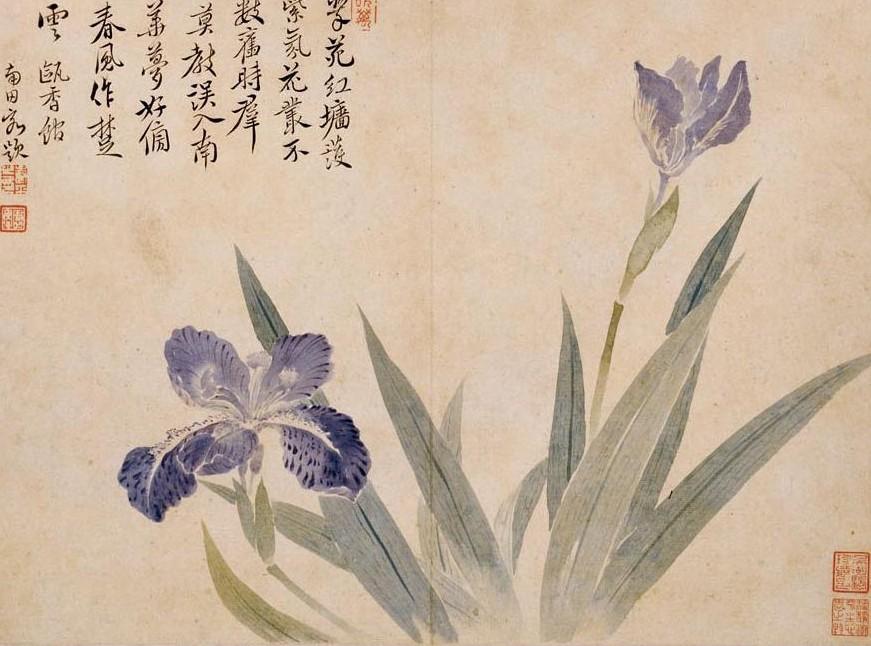 国画  没骨画  日本画 为什么那么多人喜欢国画没骨法- 知乎