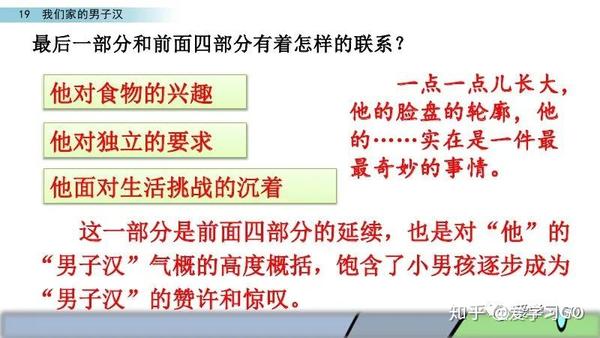 部编版四年级下册第19课《我们家的男子汉》图文讲解