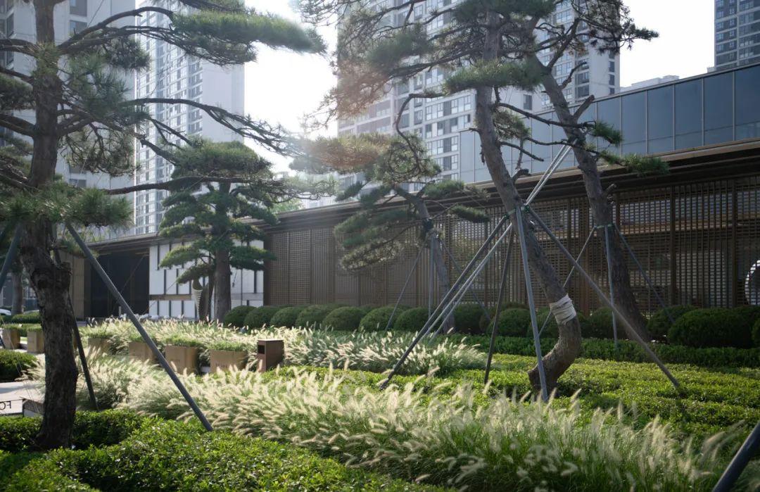 六大创新植物设计案例,编织都市生态空间新纪元 | 栖地设计 - 知乎