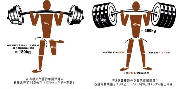 实验数据揭晓：它或许是最好的单侧训练动作 - 知乎
