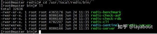  Redis json 