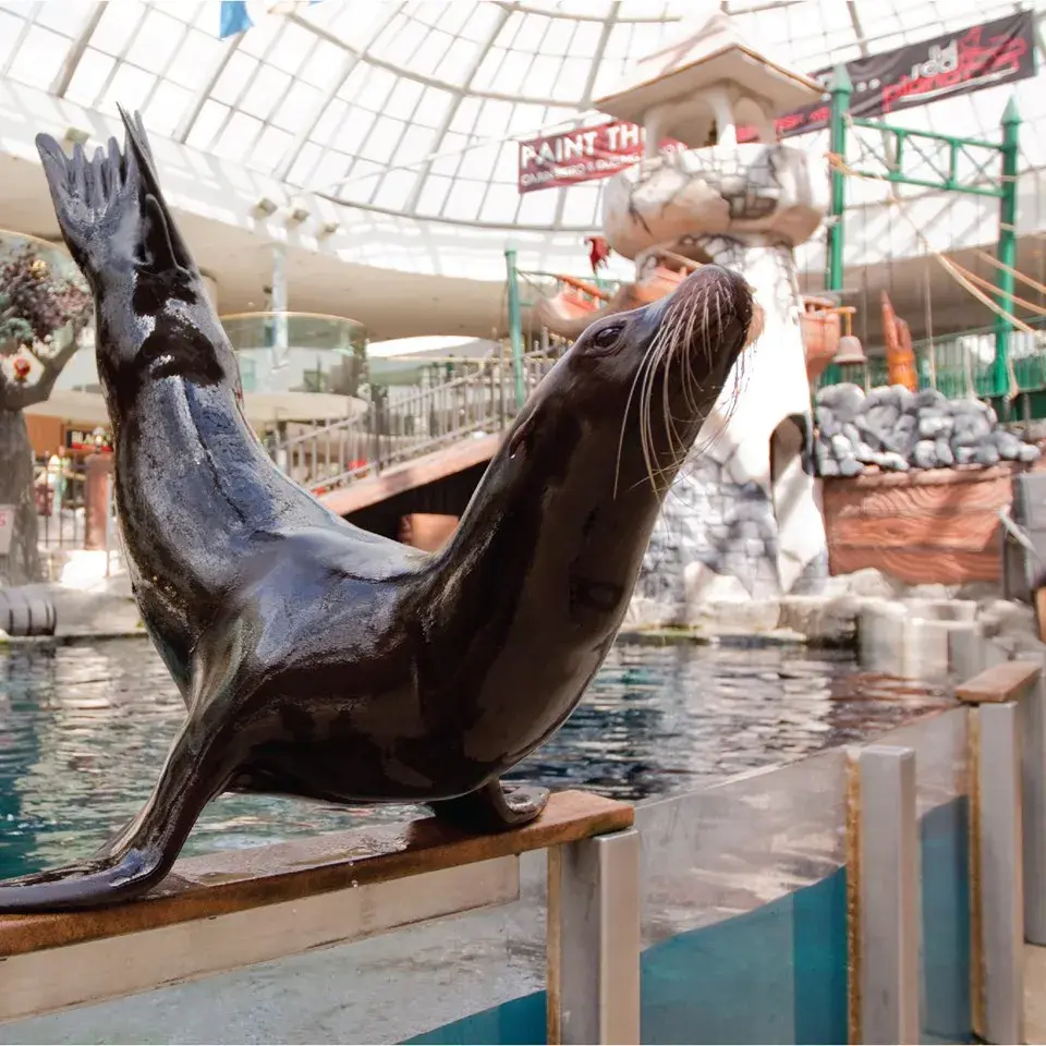 West Edmonton Mall|能满足您一切需求的超级娱乐综合体