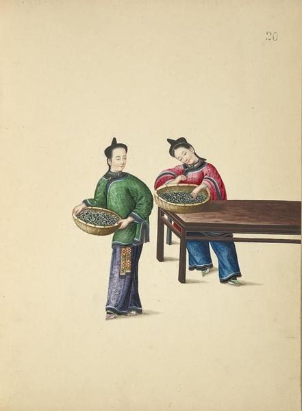 养蚕缫丝与棉布生产图【附:慈禧宫廷丝织业纪实《御香缥缈录》节选与