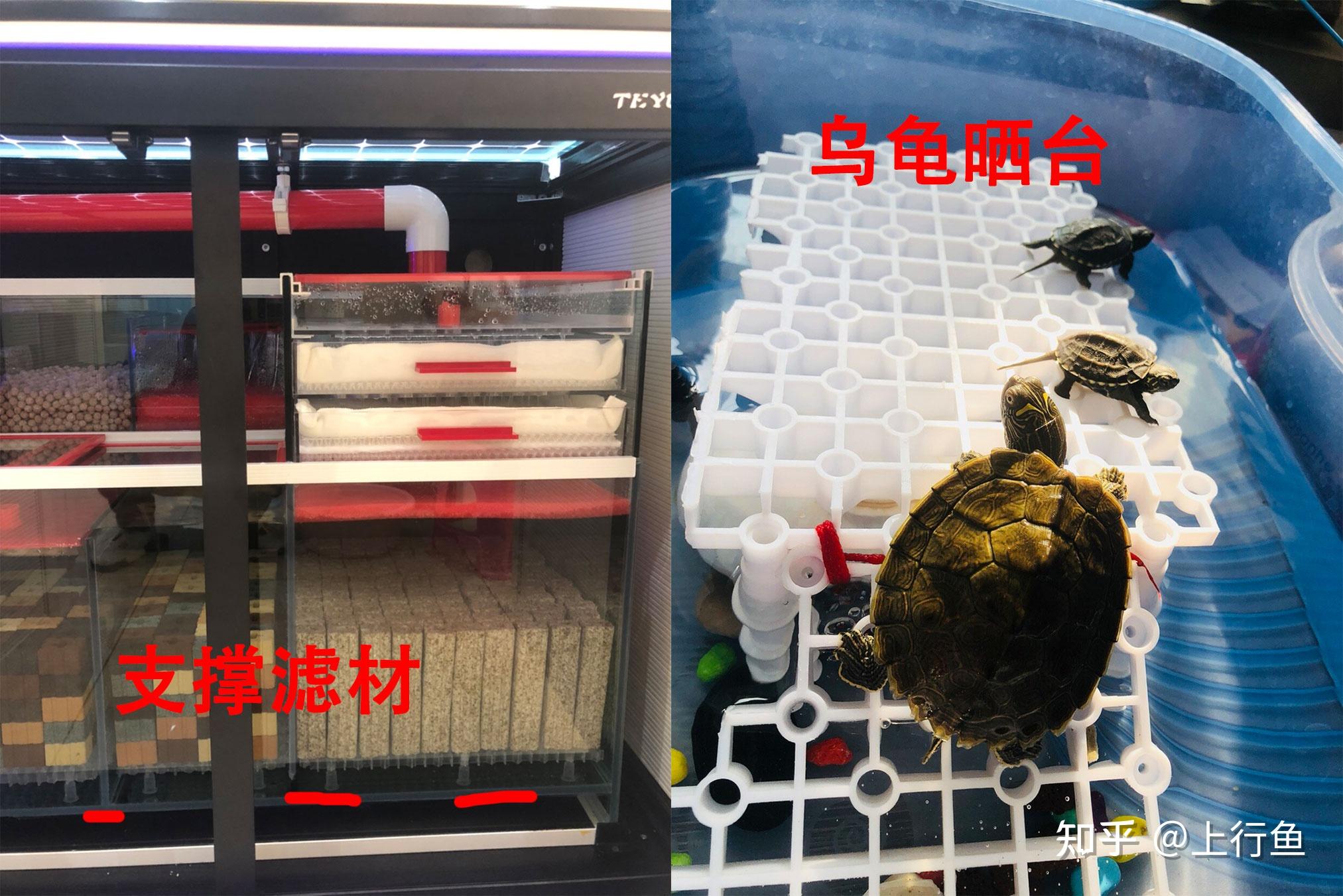 鱼缸底部过滤板怎么用
