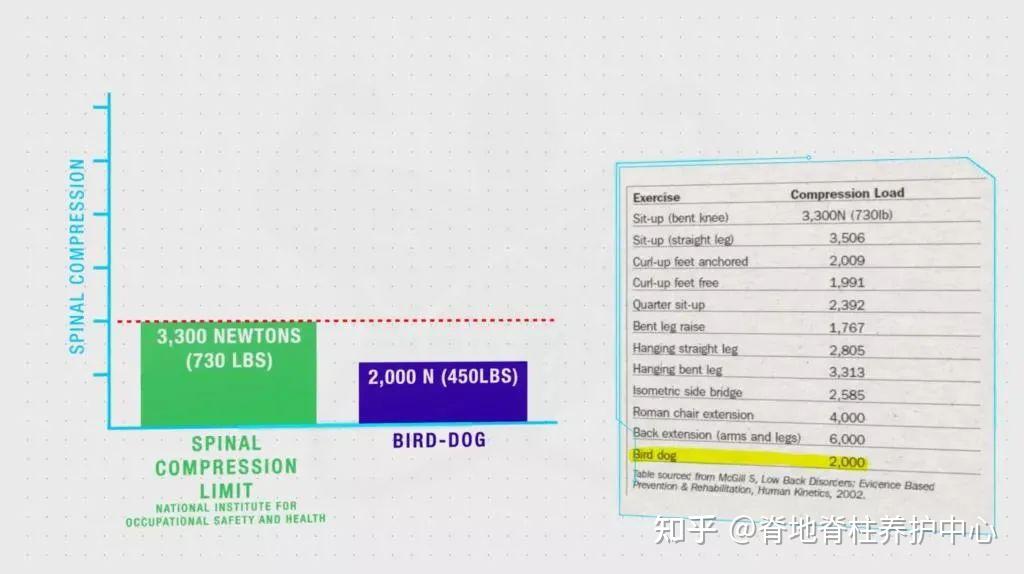 脊地小课堂 I 越练腰越痛？动作不对，伤害翻倍！ 知乎