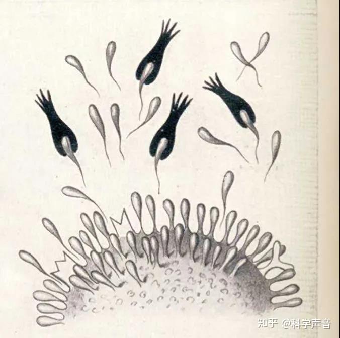 10死磕药物安全性