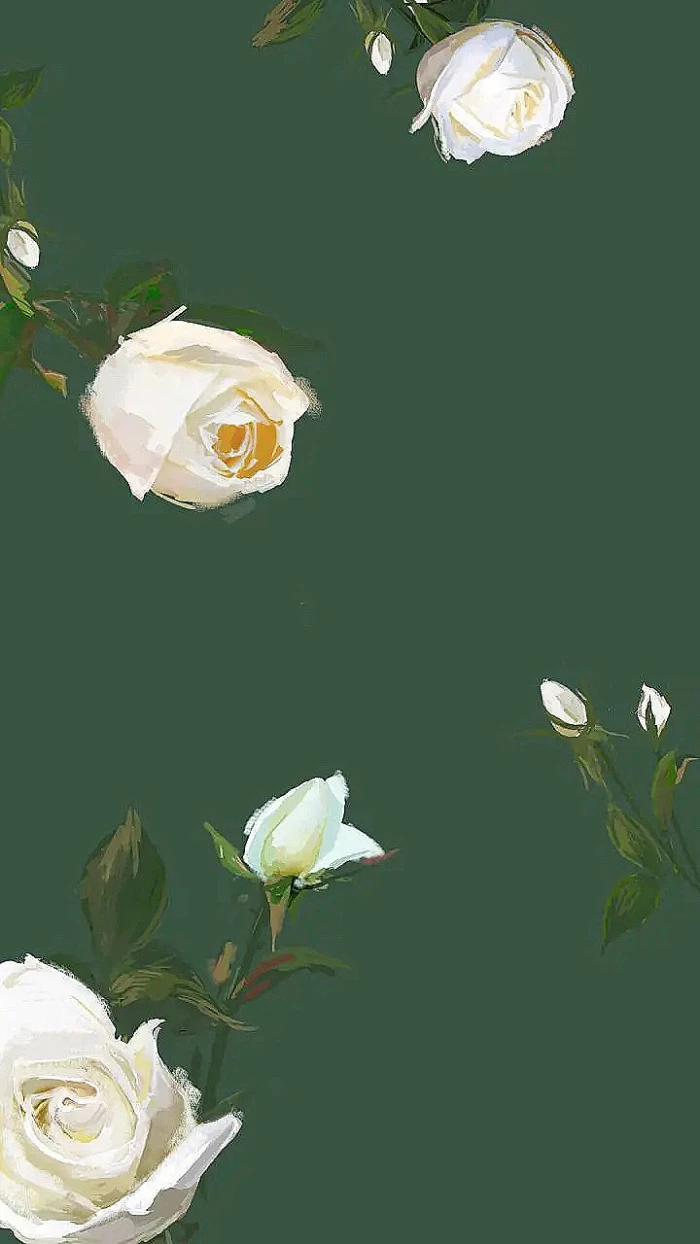 你珍藏了哪些小众高级的壁纸