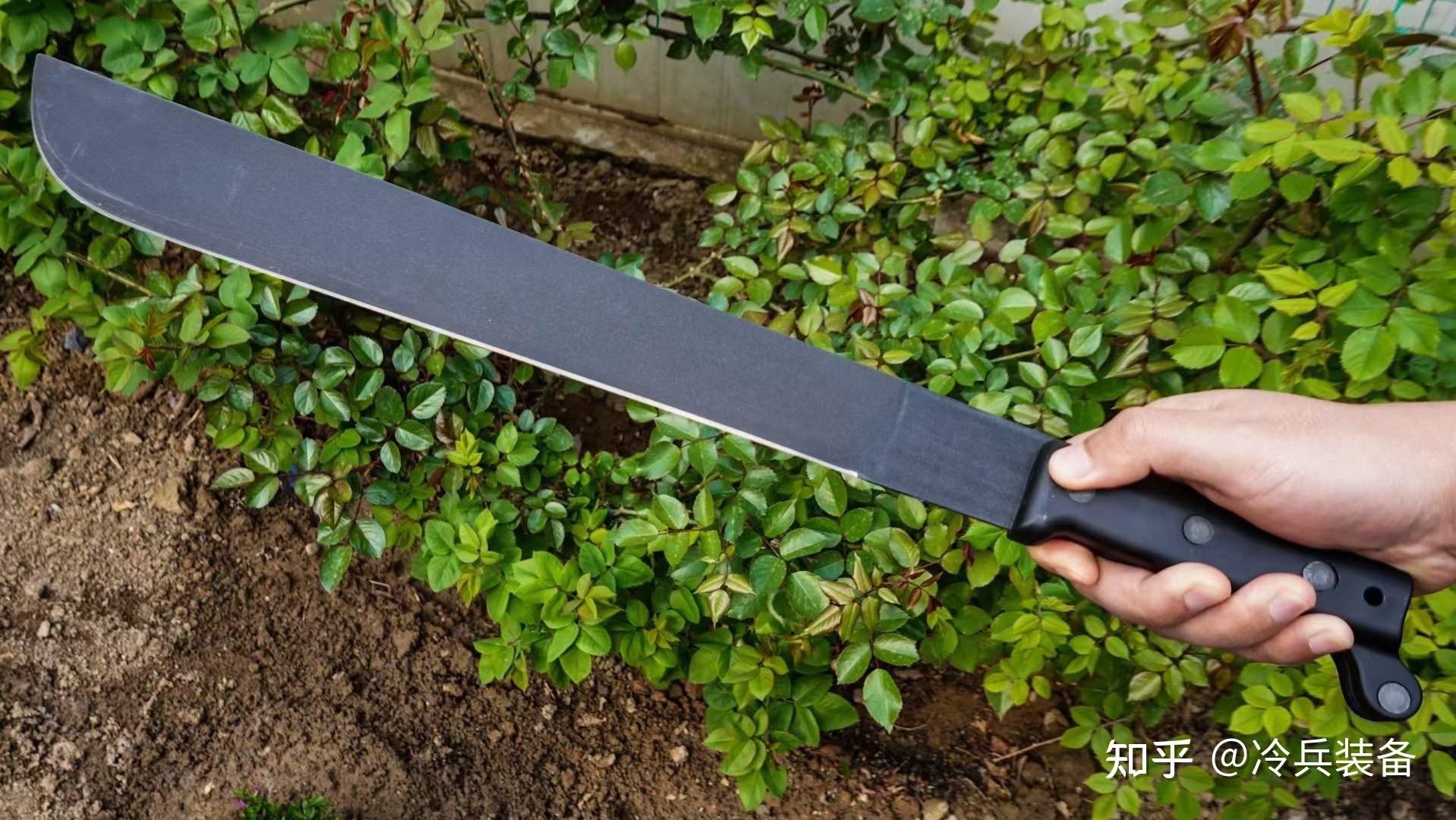 ontario安大略美军越战丛林18剁okc直叨