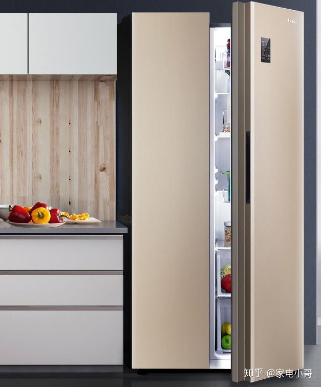 冰箱怎么选择性价比最高 v2-96589980e5781cb0a7c28e2e55f8ebe5_r.jpg