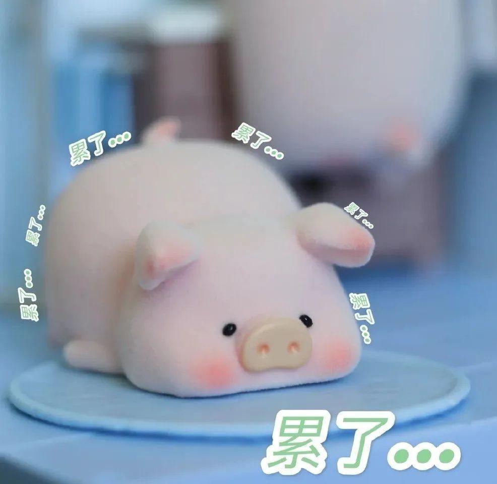猪的搞笑图片或者表情包 - 知乎