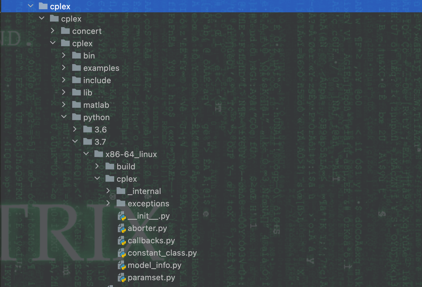 Cplex12 10 linux python3 6 3 8 