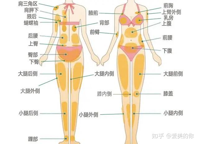 身体的很多部位都是可以吸脂的,只要存在大范围的脂肪堆积,且有一定