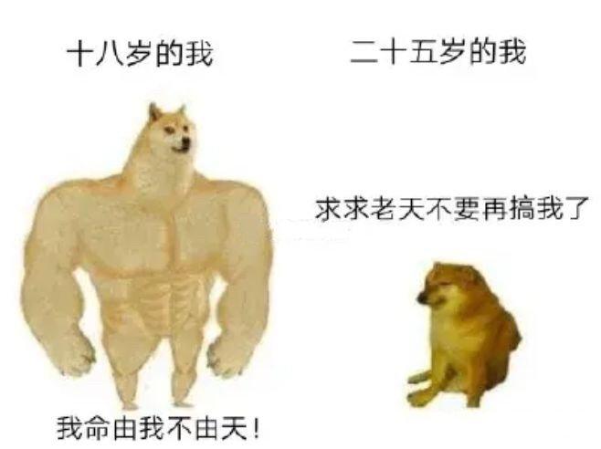 v2-969388c72db7910f2f877703681f0698_1440w.jpg?source=172ae18b